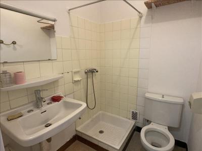 Louer Appartement Lyon-7eme-arrondissement Rhone