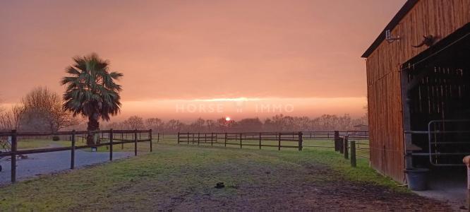 Acheter Prestige Ancenis 599000 euros