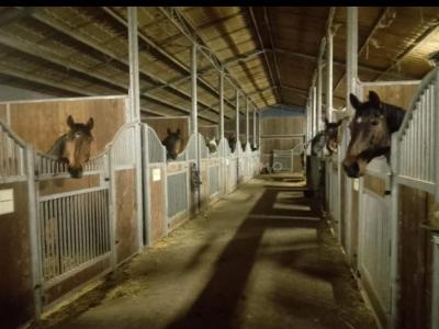 Acheter Gite Bouin 997500 euros