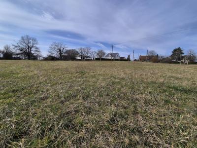 Annonce Vente Terrain Chaumont-sur-loire 41