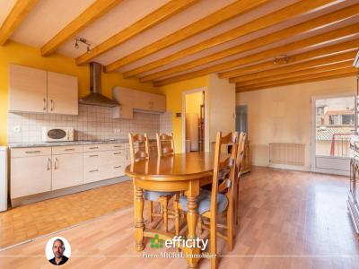 Annonce Vente 3 pi�ces Appartement Montrottier 69