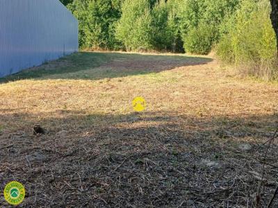 Annonce Vente Terrain Neris-les-bains 03