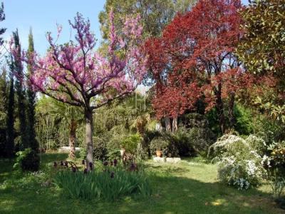 Acheter Prestige Graveson 689000 euros