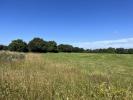 Vente Terrain Cholet  597 m2