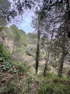 Annonce Vente Terrain Colomars 06