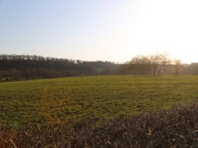 Annonce Vente 4 pi�ces Maison Igornay 71