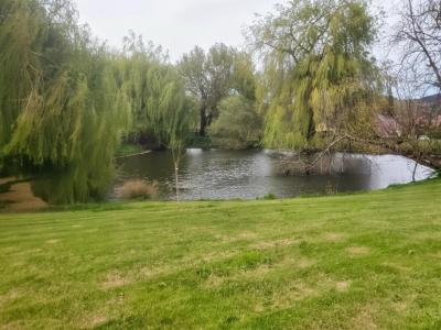 Annonce Vente 4 pi�ces Maison Isle-en-dodon 31