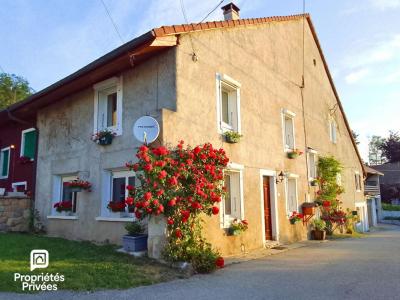 For sale Saint-germain-sur-rhone 9 rooms 245 m2 Ain (01200) photo 0