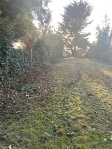 Annonce Vente Terrain Noirmoutier-en-l'ile 85