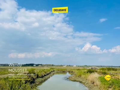 For sale Tour-du-parc 1200 m2 Morbihan (56370) photo 4