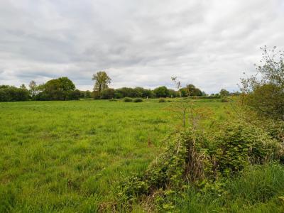 Acheter Maison 47 m2 Loscouet-sur-meu