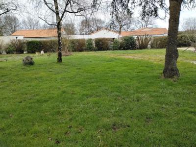 Annonce Vente Terrain Sainte-pazanne 44