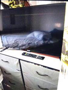 For rent Montreuil 2 rooms 48 m2 Seine saint denis (93100) photo 1