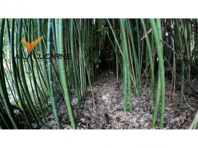 For sale Bachellerie 4 rooms 114 m2 Dordogne (24210) photo 3