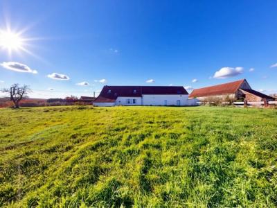 Acheter Maison 320 m2 Lapeyrouse