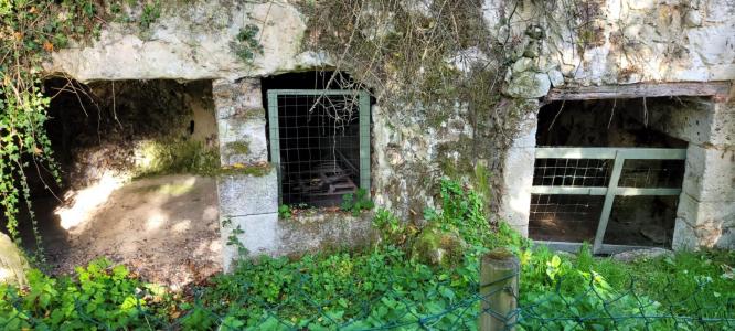 Acheter Maison Roches-l'eveque 59000 euros