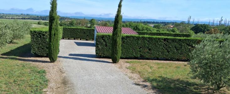 For sale Pezens 1 room 11465 m2 Aude (11170) photo 0