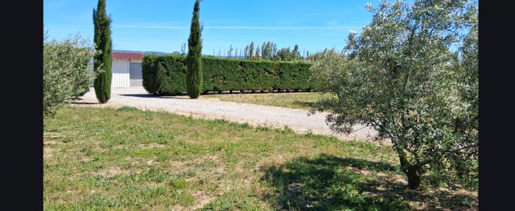 Annonce Vente Terrain Pezens 11