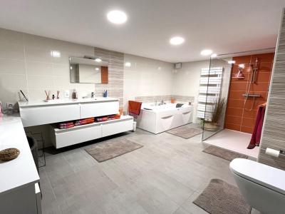 Annonce Vente 9 pi�ces Maison Saint-hymetiere 39