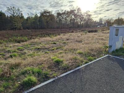 Annonce Vente Terrain Laluque 40