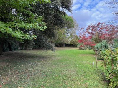 Annonce Vente Terrain Cepet 31