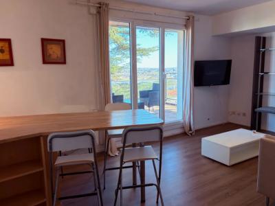 Louer Appartement Toulouse 699 euros