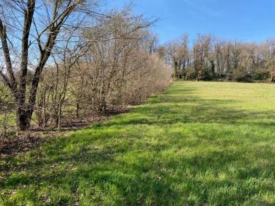 Acheter Terrain 690 m2 Chateauneuf-sur-isere