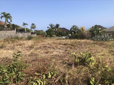 Acheter Terrain Saint-paul Reunion