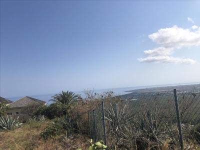 Acheter Terrain Saint-paul 564595 euros