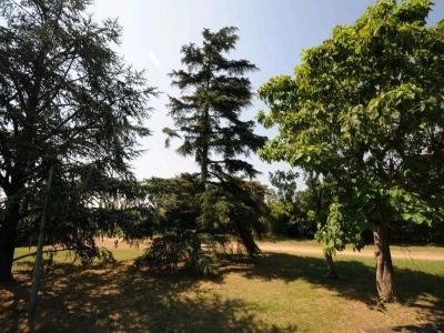 Louer Appartement Toulouse Haute garonne