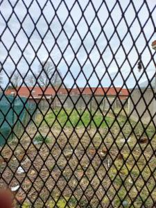 Acheter Maison Estree-blanche 67000 euros