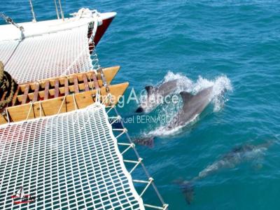 Acheter Commerce Deshaies Guadeloupe