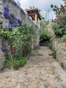 Acheter Maison Vesseaux 205000 euros