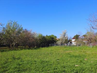 For sale Lescure-d'albigeois 740 m2 Tarn (81380) photo 0