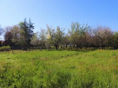 Annonce Vente Terrain Lescure-d'albigeois 81