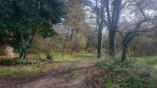 For sale 4 rooms 173 m2 Haute vienne (87130) photo 1