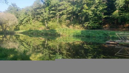 For sale 21498 m2 Haute vienne (87400) photo 2