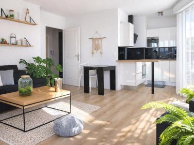 Annonce Location 2 pi�ces Appartement Puget-sur-argens 83