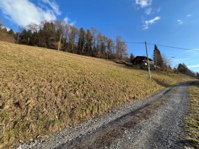 Acheter Terrain Queige Savoie