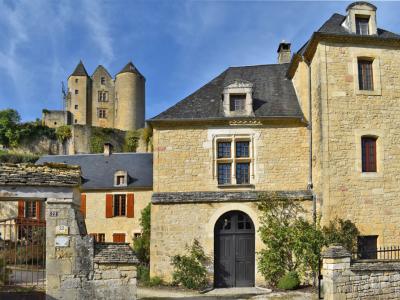 For sale Salignac-eyvigues 7 rooms 275 m2 Dordogne (24590) photo 0