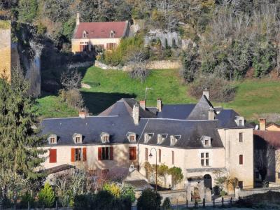 For sale Salignac-eyvigues 7 rooms 275 m2 Dordogne (24590) photo 1