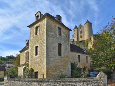 For sale Salignac-eyvigues 7 rooms 275 m2 Dordogne (24590) photo 2