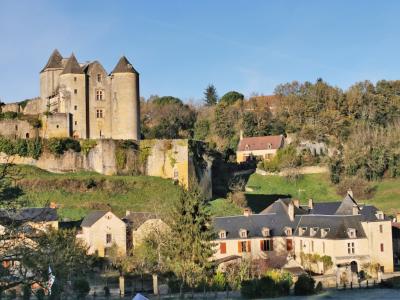 For sale Salignac-eyvigues 7 rooms 275 m2 Dordogne (24590) photo 4
