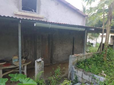 Acheter Maison 80 m2 Gros-morne