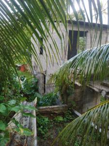 Acheter Maison Gros-morne Martinique