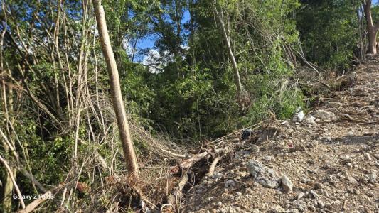 Annonce Vente Terrain Gosier 971