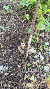 Acheter Terrain Gosier Guadeloupe