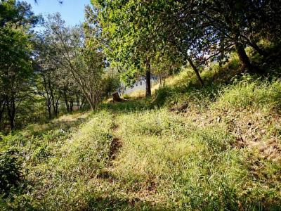 For sale Saint-martin-du-var 1129 m2 Alpes Maritimes (06670) photo 1