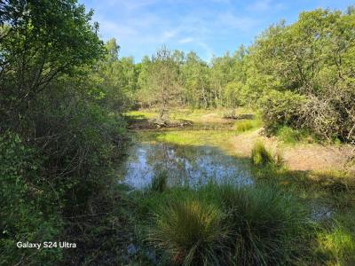 For sale Choux Loiret (45290) photo 0
