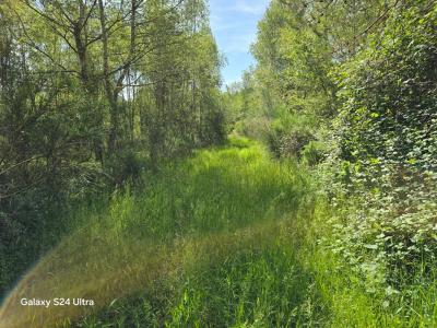 Acheter Terrain Choux